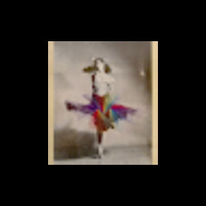 Meet your Posher, Hirondelle